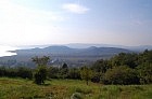 090801.jpg